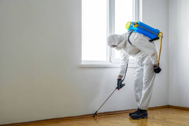 Best Pest Prevention Services  in Spotswood, NJ